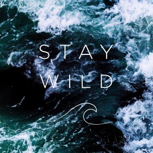 staywildswim